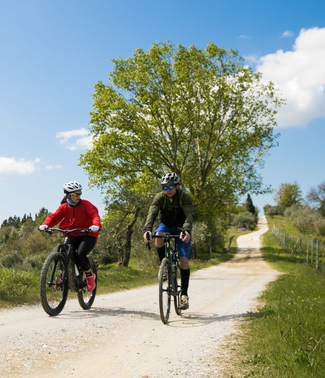 in bicicletta