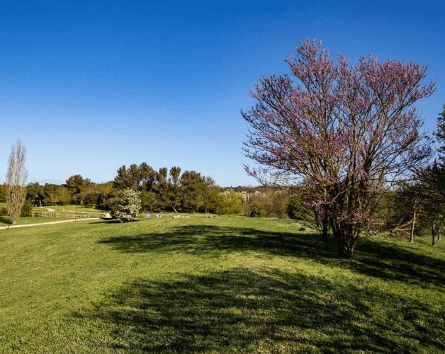 parco_di-serravalle_628x500